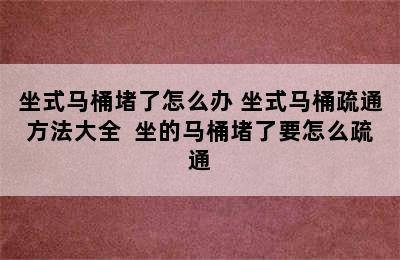 坐式马桶堵了怎么办 坐式马桶疏通方法大全  坐的马桶堵了要怎么疏通